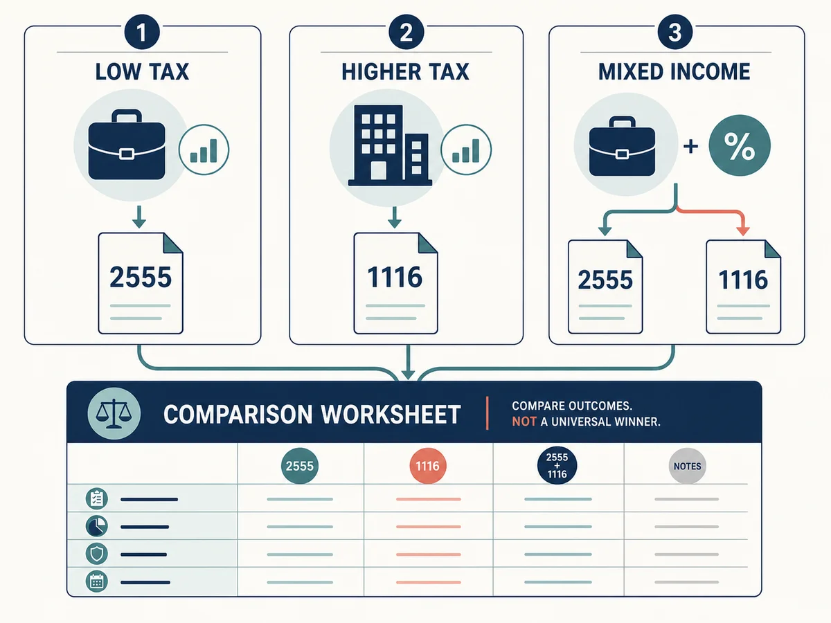 Decision map comparing low-tax earned income with higher-tax and mixed-income expat cases